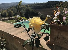 Borgo Colognola - Dimora Storica