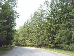 Eagle Village Resort