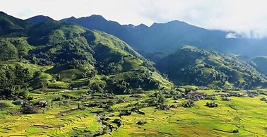 Eco Palms House - Sapa Retreat