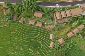 Eco Palms House - Sapa Retreat