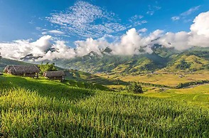 Eco Palms House - Sapa Retreat