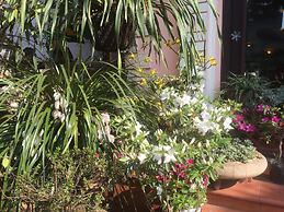 Thai Binh Sapa Hotel