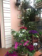 Thai Binh Sapa Hotel