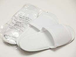 Hotel Sunroute Hikone