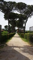 Tenuta Terre dei Latini