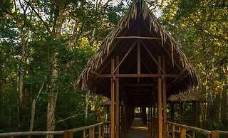 Treehouse Lodge