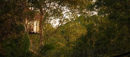 Treehouse Lodge