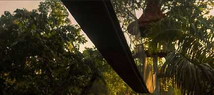 Treehouse Lodge