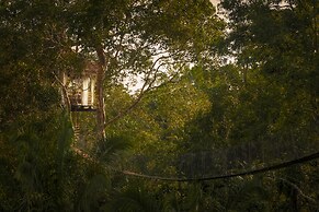 Treehouse Lodge