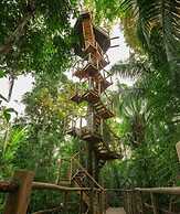 Treehouse Lodge