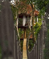 Treehouse Lodge