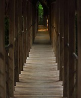 Treehouse Lodge