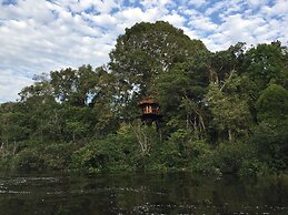 Treehouse Lodge