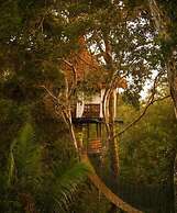 Treehouse Lodge