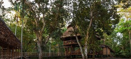 Treehouse Lodge