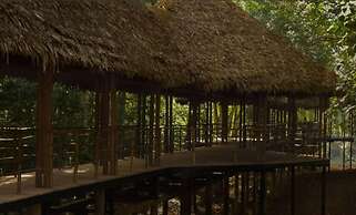 Treehouse Lodge