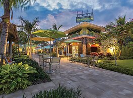 Margaritaville Vacation Club - St. Thomas