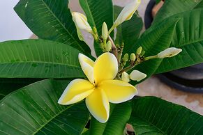 The Moon Residence & Spa