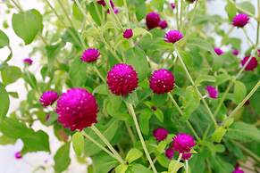 The Moon Residence & Spa