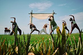 Zoetry Casa del Mar Los Cabos - All Inclusive