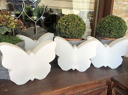 Aktiv- und Wellneshotel Haidachhof