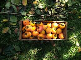 Pousada Serra da Mantiqueira