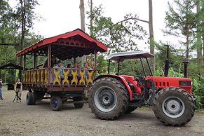 Arenal Observatory Lodge & Trails