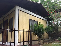 Discovery Island Resort