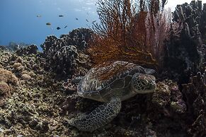 Coconut Garden Resort