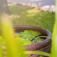 Ben Tre Riverside Resort