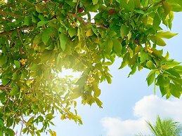 Ben Tre Riverside Resort