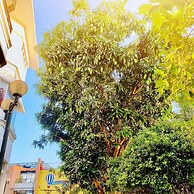 Ben Tre Riverside Resort