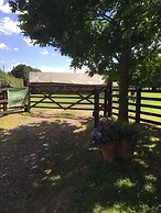 Dawn Chorus Holidays