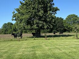 Dawn Chorus Holidays