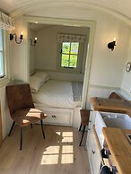 Dawn Chorus Holidays