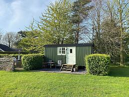 Dawn Chorus Holidays