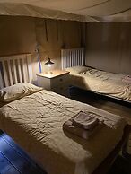 Dawn Chorus Holidays