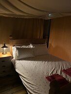 Dawn Chorus Holidays