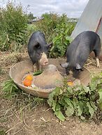 Dawn Chorus Holidays