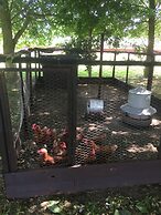 Dawn Chorus Holidays