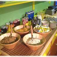 Chase The Wild Goose Hostel