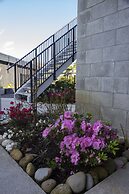 Carters By The Sea Westport