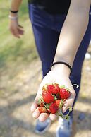 Play La Ploen Boutique Resort