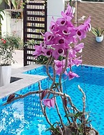 Hoi An Riverlife Homestay