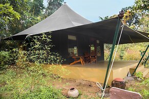 Pench Jungle Camp
