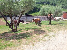 Agriturismo La Rocca dei Briganti