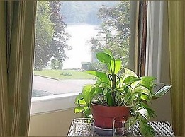 The Pebble Bed & Breakfast