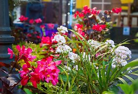 Hotel Carolina Montecarlo