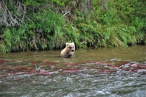 Alaska Creekside Cabins