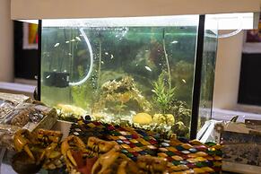 Pousada Ceará Porto das Dunas